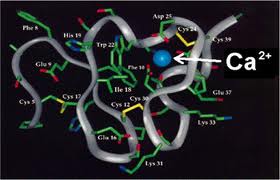 Biophysics – A Modern Career Option